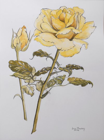 Yellow Rose with Leaves with Bud by Joan Thewsey